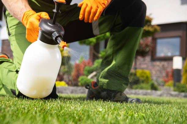 Best Affordable Pest Control Services  in Renville, MN
