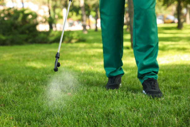 Best Insect Control  in Renville, MN