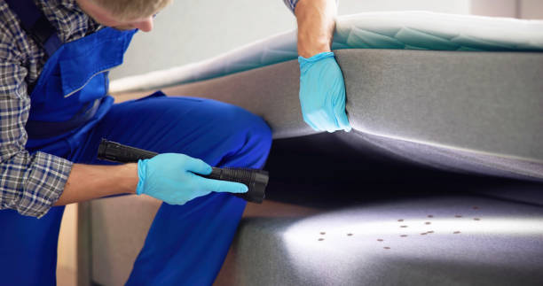 Best Exterminator Services  in Renville, MN