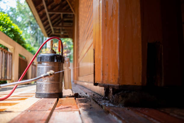 Best Cockroach Control Services  in Renville, MN
