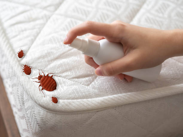 Best Pest Removal Services  in Renville, MN