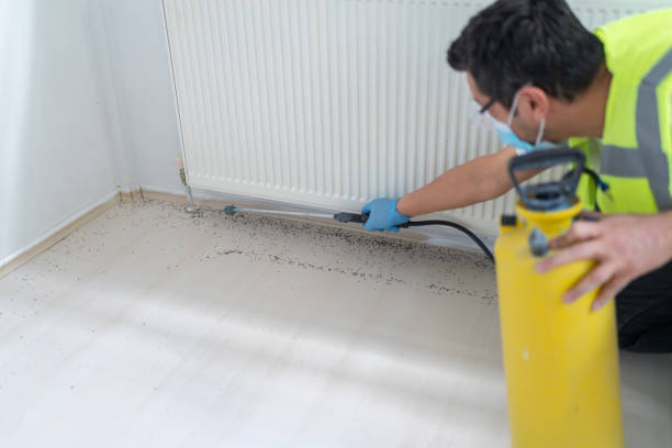 Best Pest Control for Homes  in Renville, MN