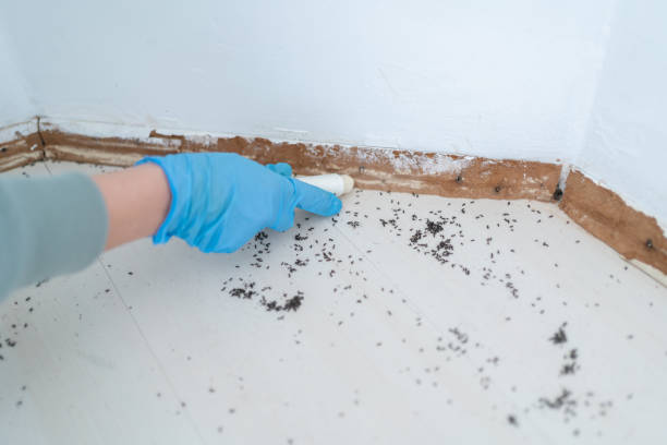 Best Commercial Pest Control Services  in Renville, MN
