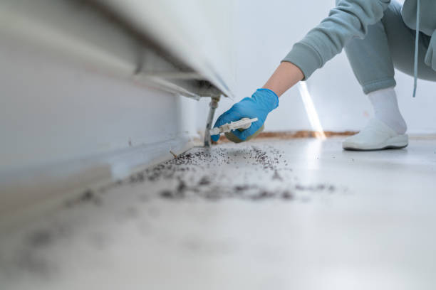 Best Mosquito Control Services  in Renville, MN